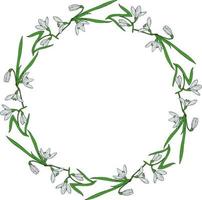 Wreath with snowdrops and leaves on white background. Vector image.