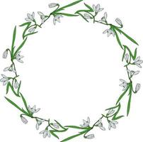 Wreath with snowdrops and leaves on white background. Vector image.