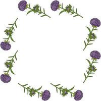 Square frame with great violet aster flowers on white background. Vector image.