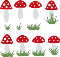 Amanita muscaria on white background. Vector image.