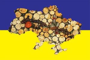 Outline map of Ukraine flag with the image of the national flag. Firewood inside the map. Collage illustration. Energy crisis. photo