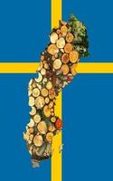 Outline map of Sweden with the image of the national flag. Firewood inside the map. Collage. Energy crisis. photo