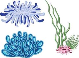 Set of marine vector plants, hand drawn algae