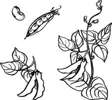 ilustración vectorial racimo de uvas de vino con hoja - símbolo, elemento de diseño de paquete, patrón ornamental abstracto sobre fondo blanco. vector