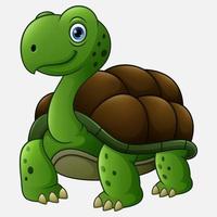 Funny turtle cartoon vector