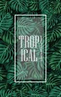 Tropical plants and birds collection set vector