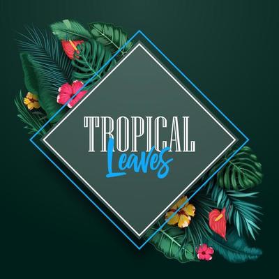 Tropical Bird Vector Art Icons And Graphics For Free Download Tropical Bird Vector Art Icons And Graphics For Free Download
