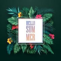 Hello Summer background with Tropical plants and birds collection set vector