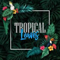 Tropical plants and birds collection set vector