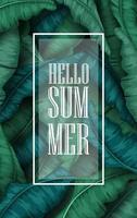 Hello Summer background with Tropical plants and birds collection set vector