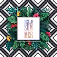 Hello Summer background with Tropical plants and birds collection set vector