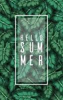 Hello Summer background with Tropical plants and birds collection set vector