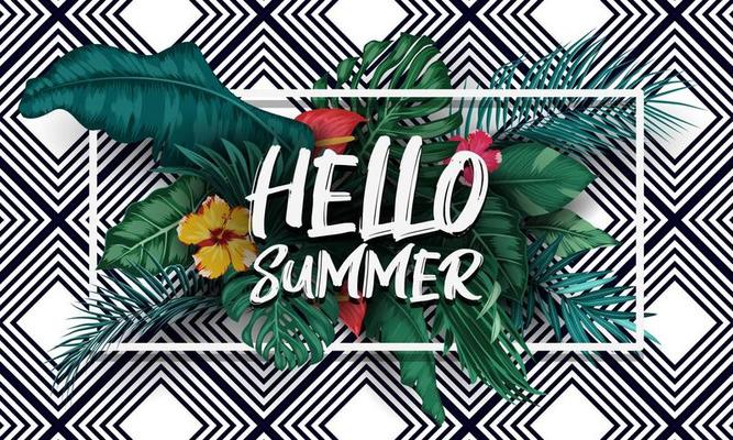Hello Summer background with Tropical plants and birds collection set