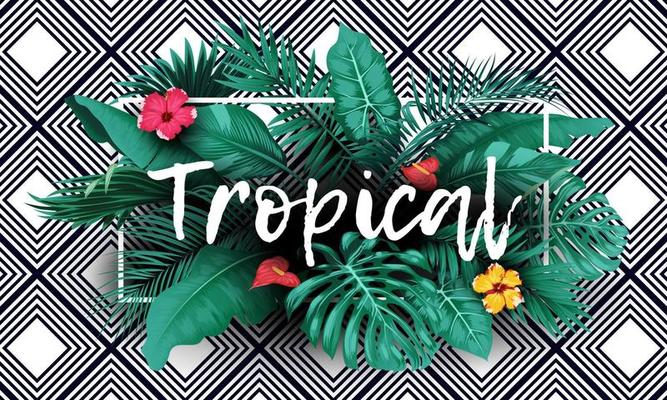 Tropical Bird Vector Art Icons And Graphics For Free Download Tropical Bird Vector Art Icons And Graphics For Free Download