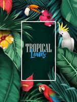 Tropical plants and birds collection set vector