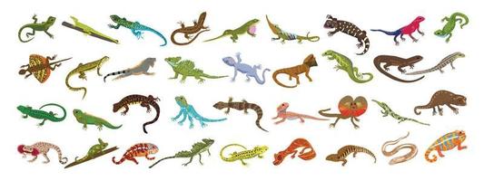 Lizard icons set cartoon vector. Chameleon gecko vector