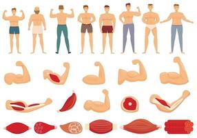 Muscle icons set cartoon vector. Fiber tissue vector