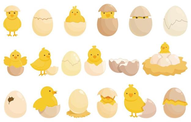 Chicken hatching icons set cartoon vector. Egg nest
