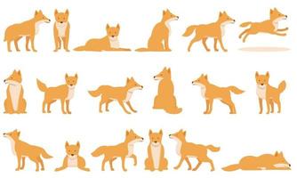 iconos de dingo de perro salvaje establecen vector de dibujos animados. cachorro de américa