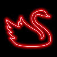 Red neon swan contour on a black background. Floating Bird vector