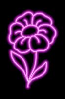 Neon pink flower with petals on a black background. Simple illustration vector