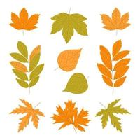 Autumn leaves set. Colorful fall silhouettes, maple ash birch tree yellow orange deep green foliage. Forest nature leafage elements. Season vector illustration.