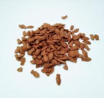 dry cat food isolated photo