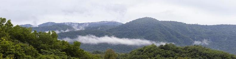 Fog flow through Khaoyai National Park mountain valley in the morning light during the rainy season, Thailand photo