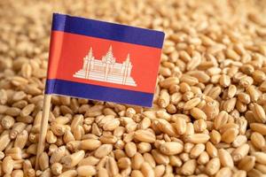 granos de trigo con bandera de camboya, exportación comercial y concepto económico. foto