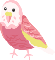 cute cartoon parrot illustration png