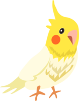 cute cartoon parrot illustration png