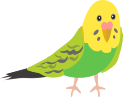 cute cartoon parrot illustration png