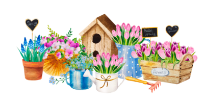 watercolor set of spring flower bouqets in cup, jug and wooden box, birdhouse png