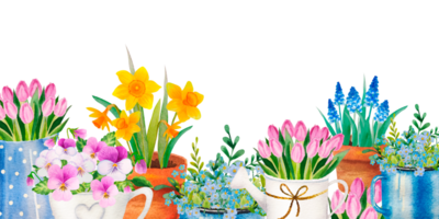 Aquarellbanner mit Frühlingsblumensträußen in Tasse, Krug und Holzkiste, Vogelhaus png