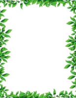 leaves page border png