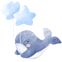 cute baby whale png