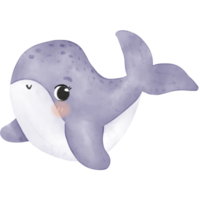 cute baby whale png