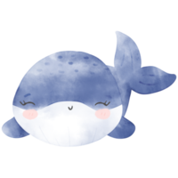 cute baby whale png