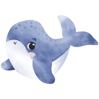 cute baby whale png