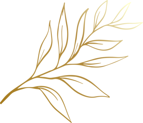 Gold Leaf PNGs for Free Download