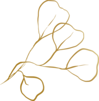 ligne de feuille d'or png