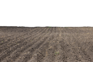 Pattern of rows in a plowed field on an isolated white background. Transparent background. PNG. png