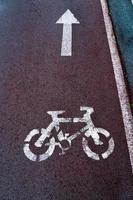 bicycle traffic signal on the road photo
