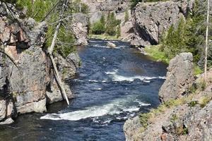 Madinson River Running Through A Canyon In Yellowstone National Park photo