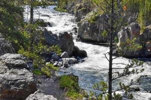 White Water Rapids Running Through Firehole Canyon In Yellowstone National Park photo