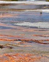 Colorful Thermal Area In Geyser Basin In Yellowstone National Park photo