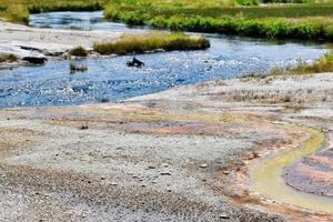 Thermal Area In Geyser Basin In Yellowstone National Park photo