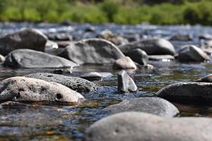 River Rocks In The Madison River In Yellowstone National Park photo