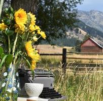 Typewriter In A Pasture With Sunflowers, A Stack Of Books, And A Tea Cup photo
