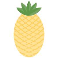 pineapple fruit flat design collection set png